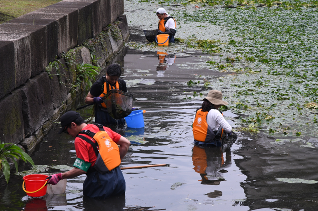 生態系調査と生き物保全活動 皇居外苑濠の環境改善に向けて 大丸有sdgs Act5 公式サイト